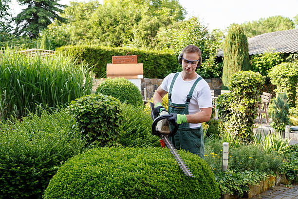 Best Organic Lawn Care Solutions  in Bayshore Gardens, FL